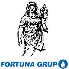 FORTUNA GRUP